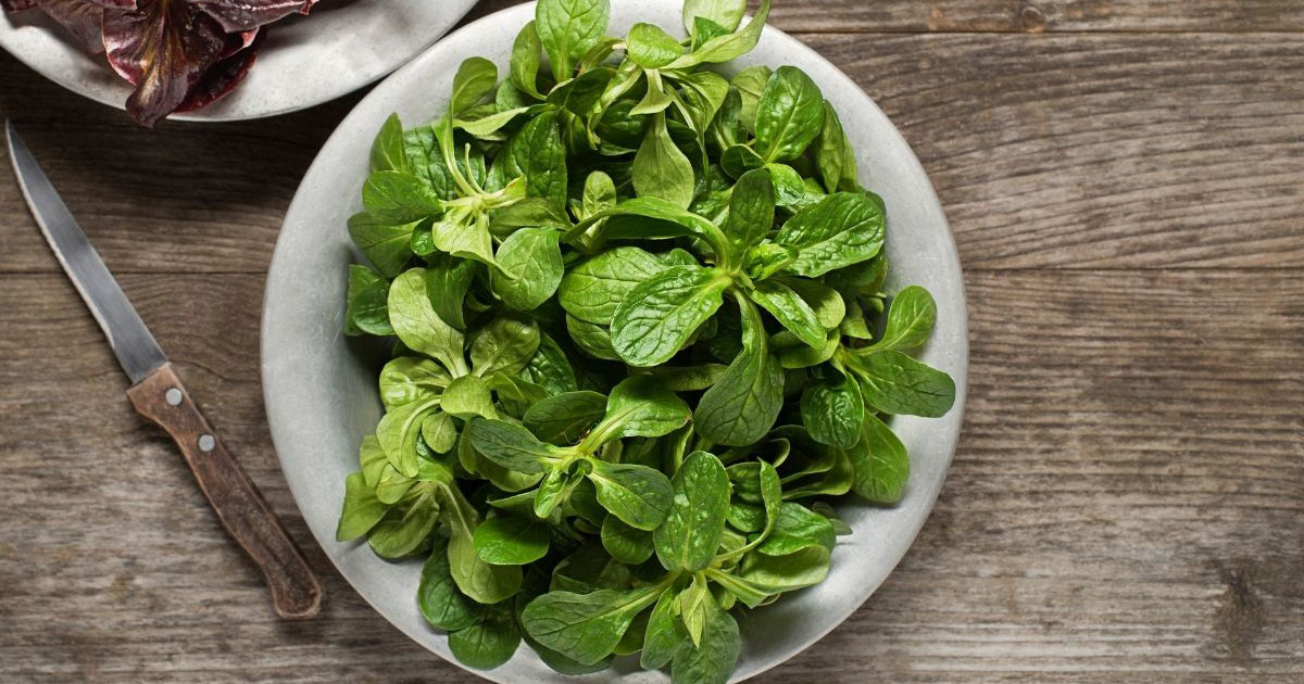 Feldsalat mit Kichererbsen, Apfel und Walnüssen | Verbraucherzentrale NRW