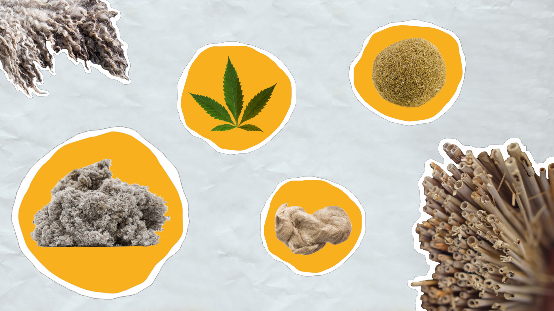 Collage aus verschiedenen ökologischen Dämmstoffen: Schafwolle, Hanf, Zellulose, Schilf, Jute und Seegras