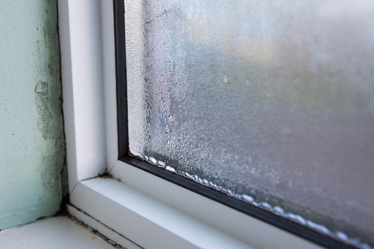 Feuchtes Fenster mit Schimmel am Rahmen