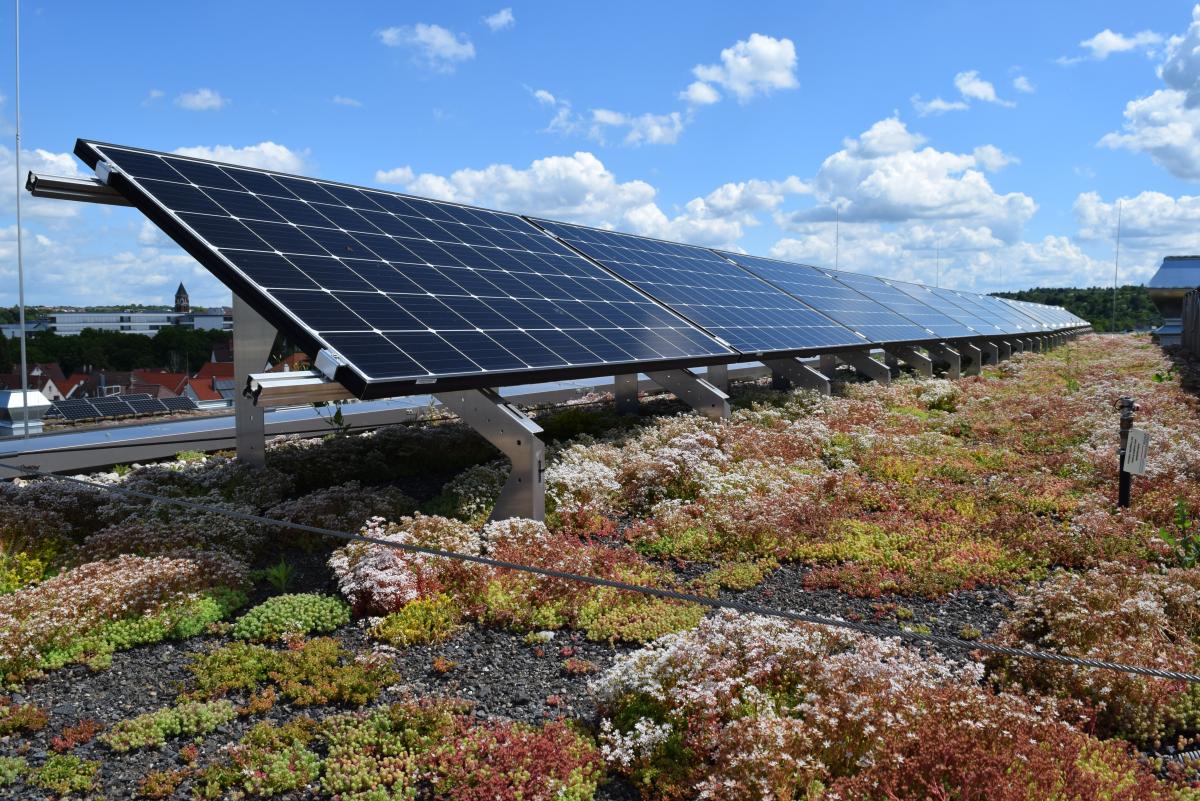 Gründach Solar