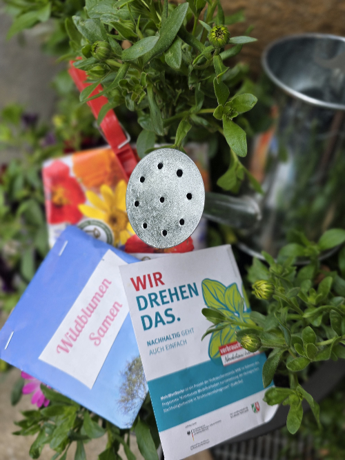 Pflanzentausch