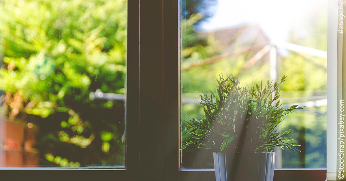 Fenster mit Sonne