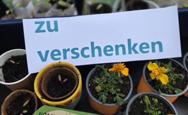 Pflanzentausch Verbraucherzentrale Kamen
