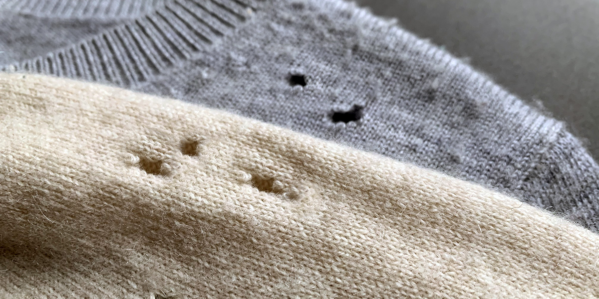 Motten im Kleiderschrank – so kann man seine Wolle schützen ...