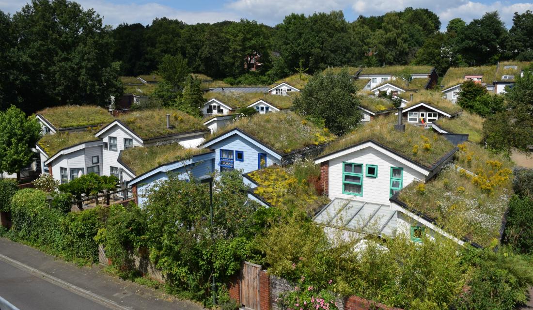 Hausgruppe mit begrünten Dächern