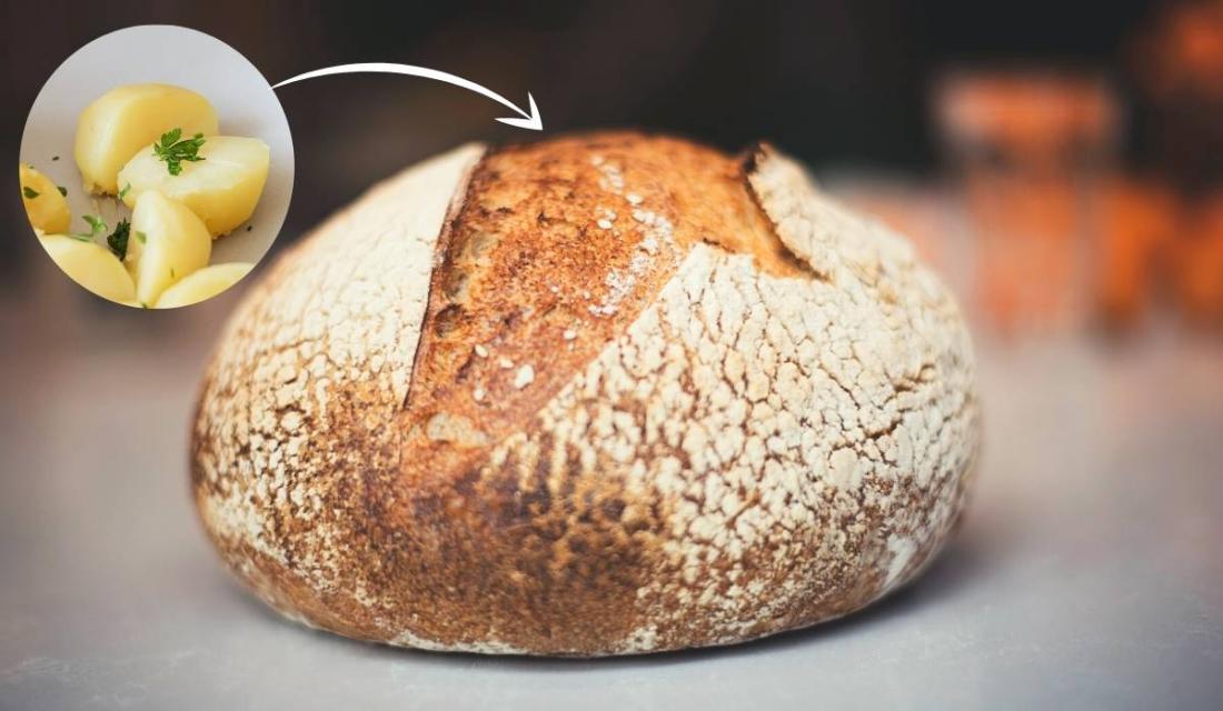 Gekochte Kartoffeln und ein Brot
