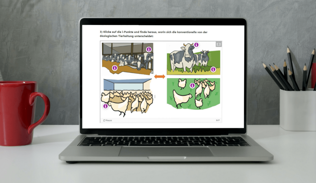 Wissensspiel – Unser Fleischkonsum und das Klima