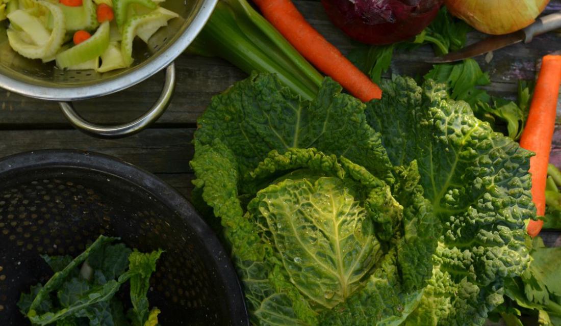 Verschiedene Gemüsesorten, Wirsing und Möhren