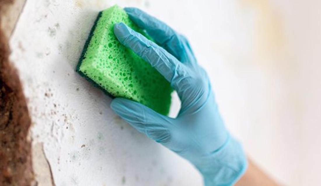 Hand mit Putzhandschuh putzt Schimmel von einer Wand mit einem Schwamm