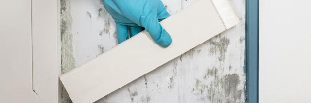 Schimmel hinter der Fußleiste