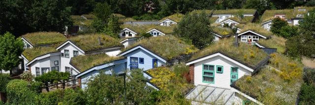 Hausgruppe mit begrünten Dächern