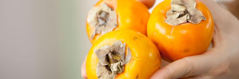 Kaki - süßes Obst für den Winter: Hände halten drei Kakis