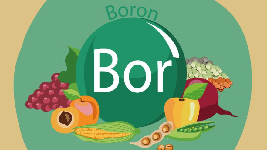 Bor Borax Borsäure in Lebensmitteln