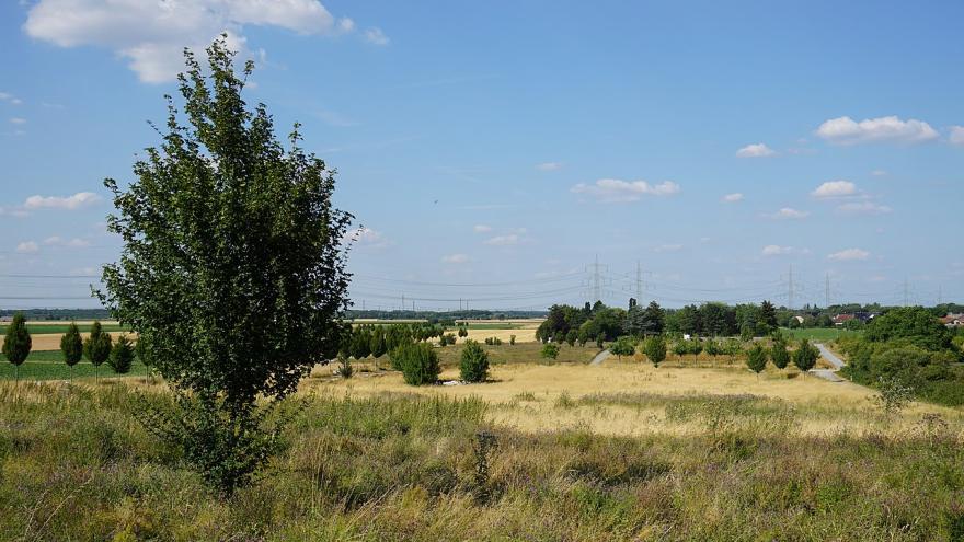 Blick auf Landschaft mit Feldern und einigen grünen Bäumen