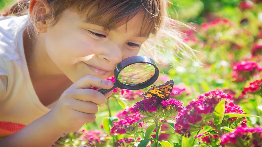 Mädchen betrachtet Schmetterling auf einer Blüte unter einer Lupe