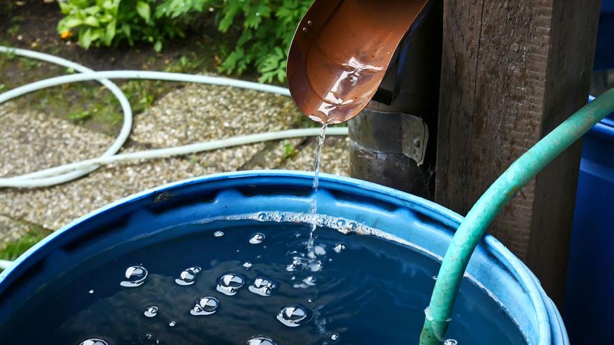 Wasser läuft in eine Regentonne im Garten mit Schlauch