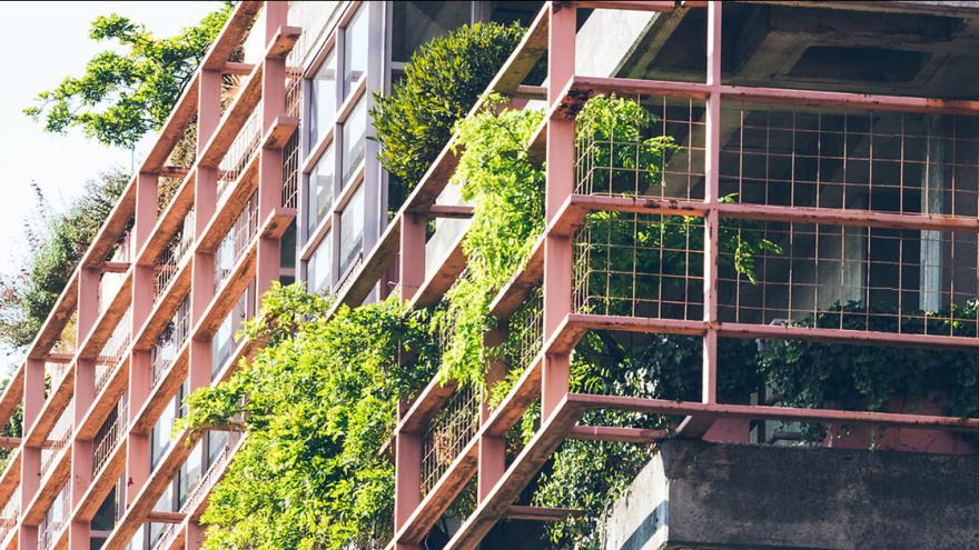 Begrünung am Hochhaus