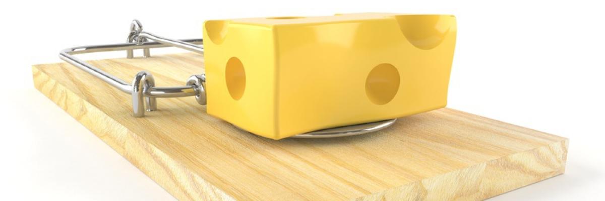 Käsestück in einer Mausefalle