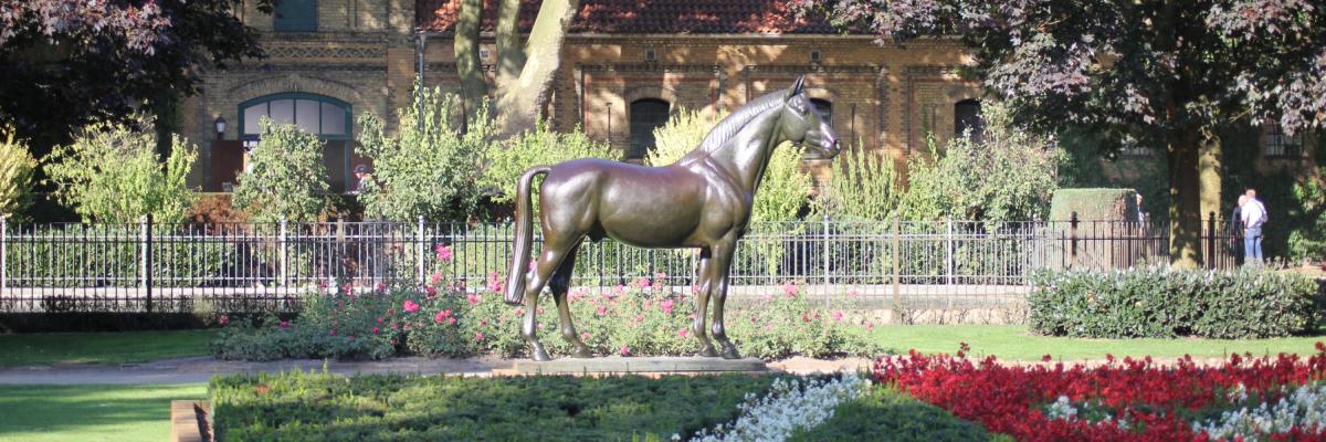 Warendorf Landgestüt mit Pferd