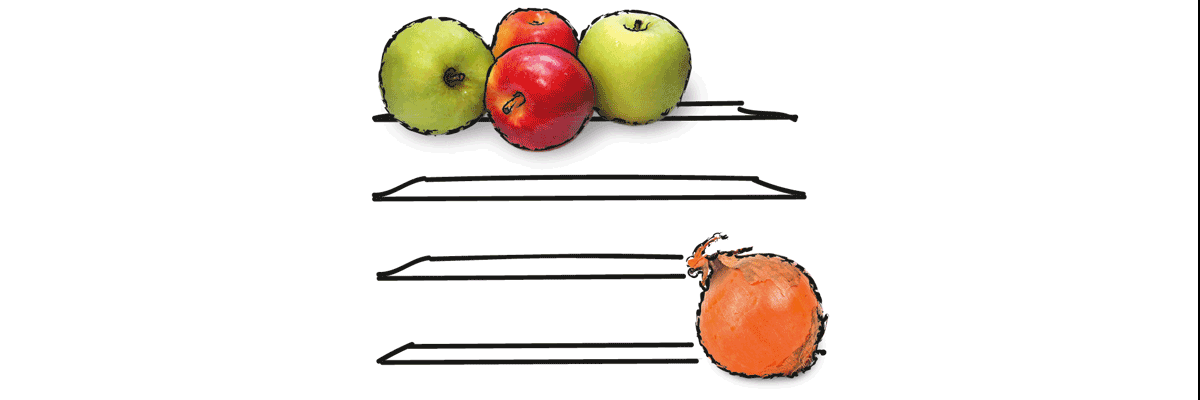 Zeichnung: Äpfel und Zwiebel