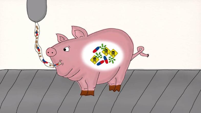 Die Abbildung des Schweins informiert den Verbraucher über die tatsächliche Qualität des Fleisches