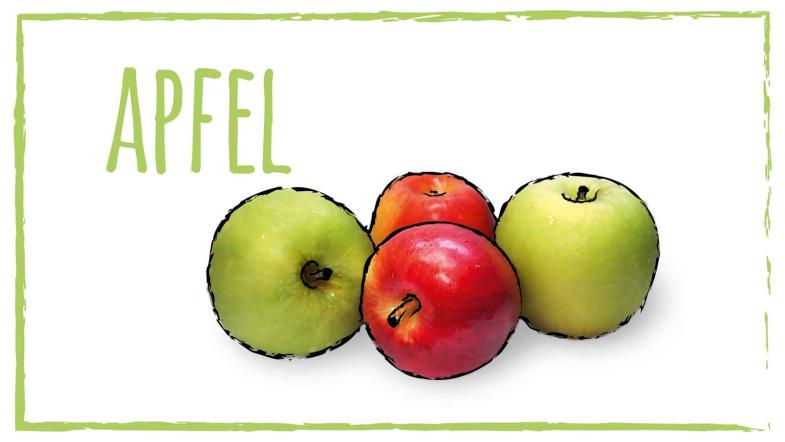 Zeichnung: Äpfel