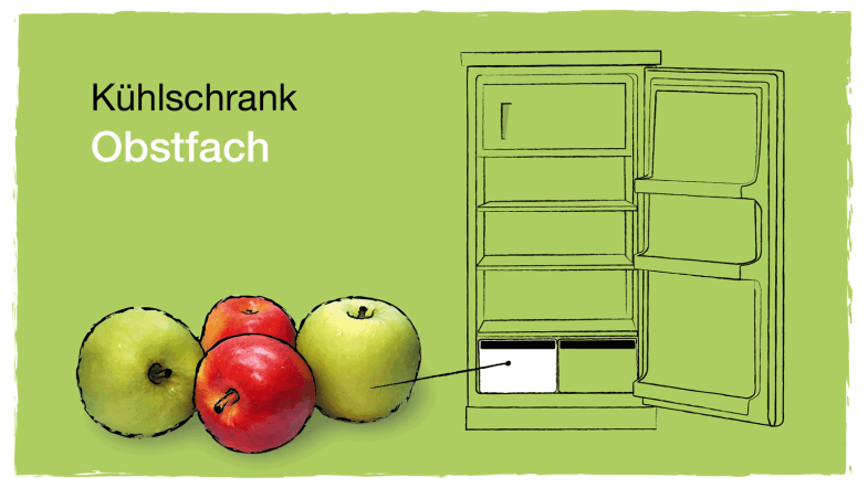 Zeichnung: Kühlschrank und Äpfel