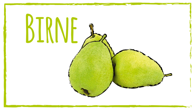Zeichnung: Birne