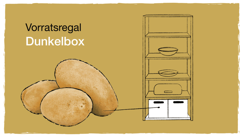 Zeichnung: Vorratsregal und Kartoffel