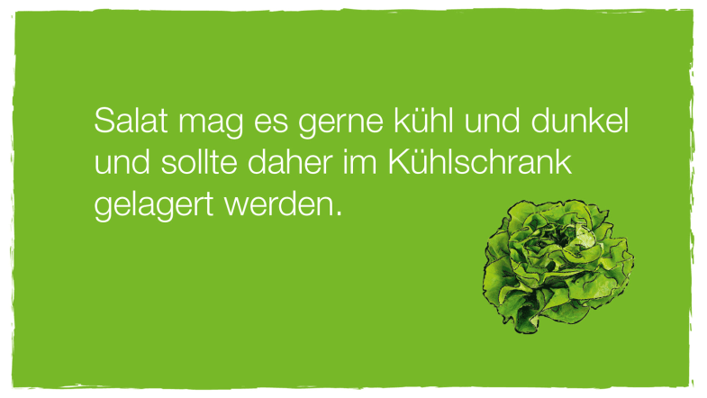 Lagerungsinformation Salat