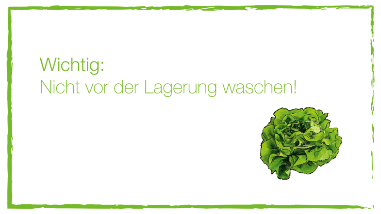 Lagerungsinformation Salat