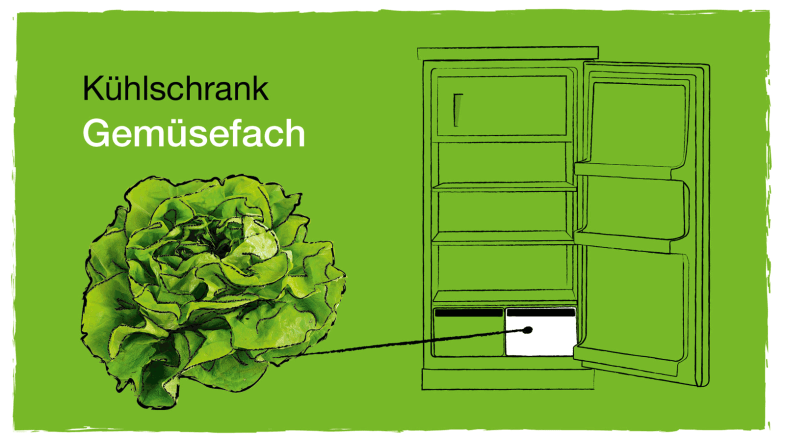 Zeichnung: Kühlschrank und Salat