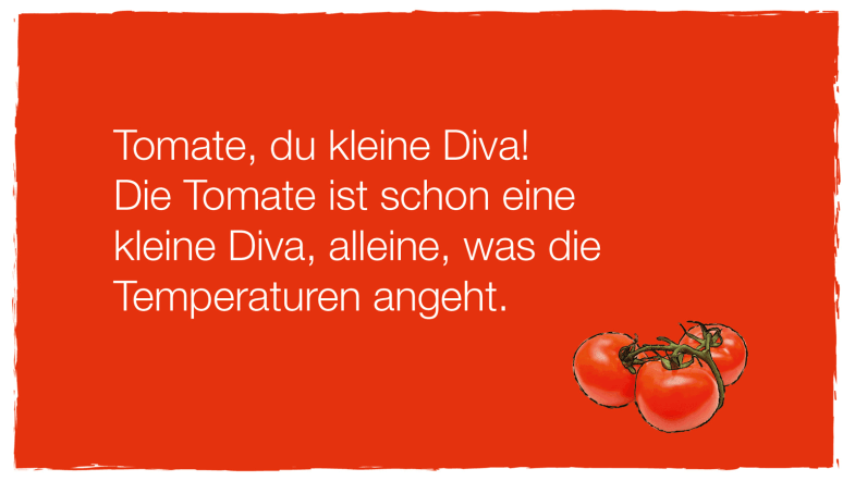Lagerungsinformation Tomate