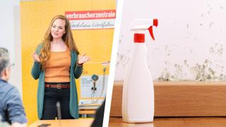 Vortragssituation & Putzmittel vor Wand mit Schimmelbefall