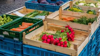 Radieschen, Möhren und weitere Gemüsesorten in Kisten auf dem Markt
