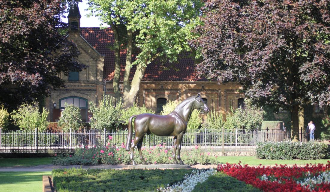 Warendorf Landgestüt mit Pferd