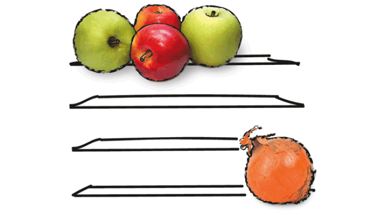 Zeichnung: Äpfel und Zwiebel