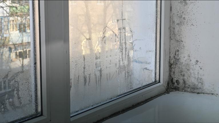 Beschlagenes Fenster mit Schimmel an der anschließendes Wand und dem Fensterbrett